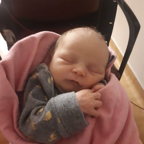 Meet your Posher, Calvin - Picture 1 of 1